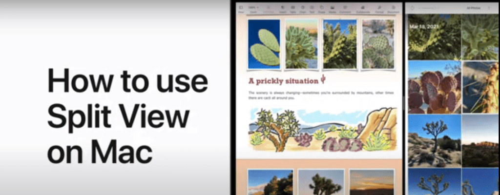 how to split screen on a mac